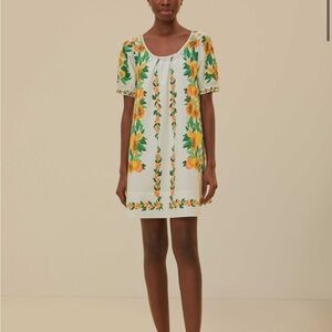 Papaya Salad Scarf Mini Dress